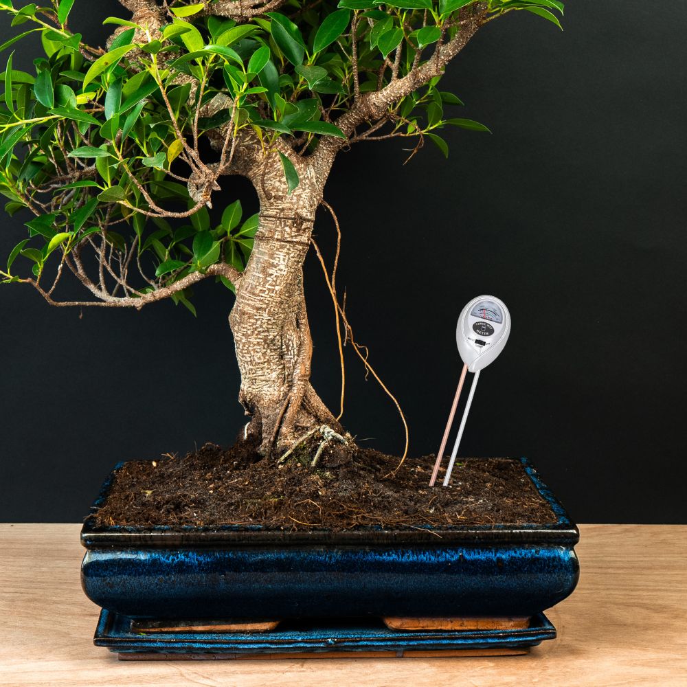 Testeur de sol 3-en-1