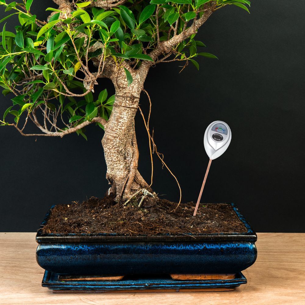 Mesureur d’humidité du sol