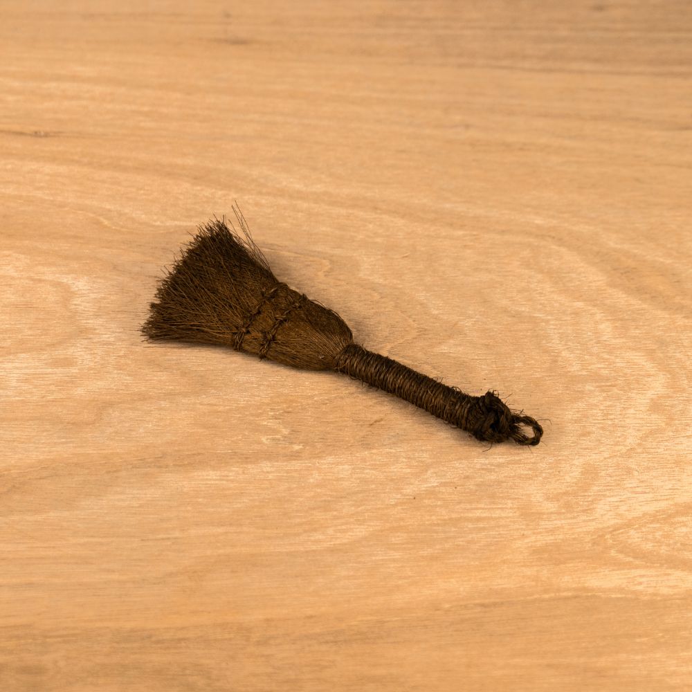 Kit de démarrage Ficus - complet