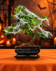 Carmona katachi (Édition Halloween)