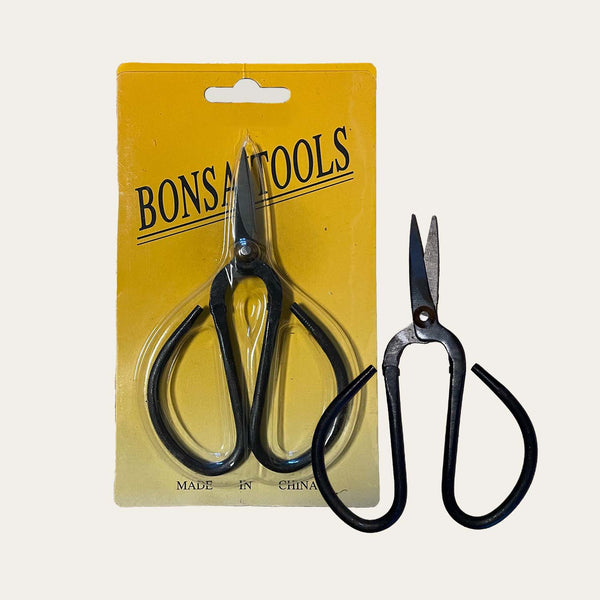 Petits ciseaux à bonsaï