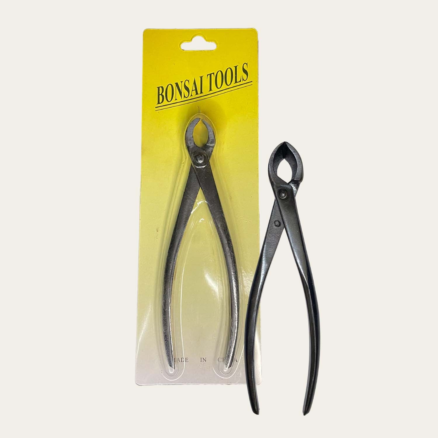 Pince concave bonsai