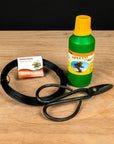 Kit de démarrage Ficus - complet