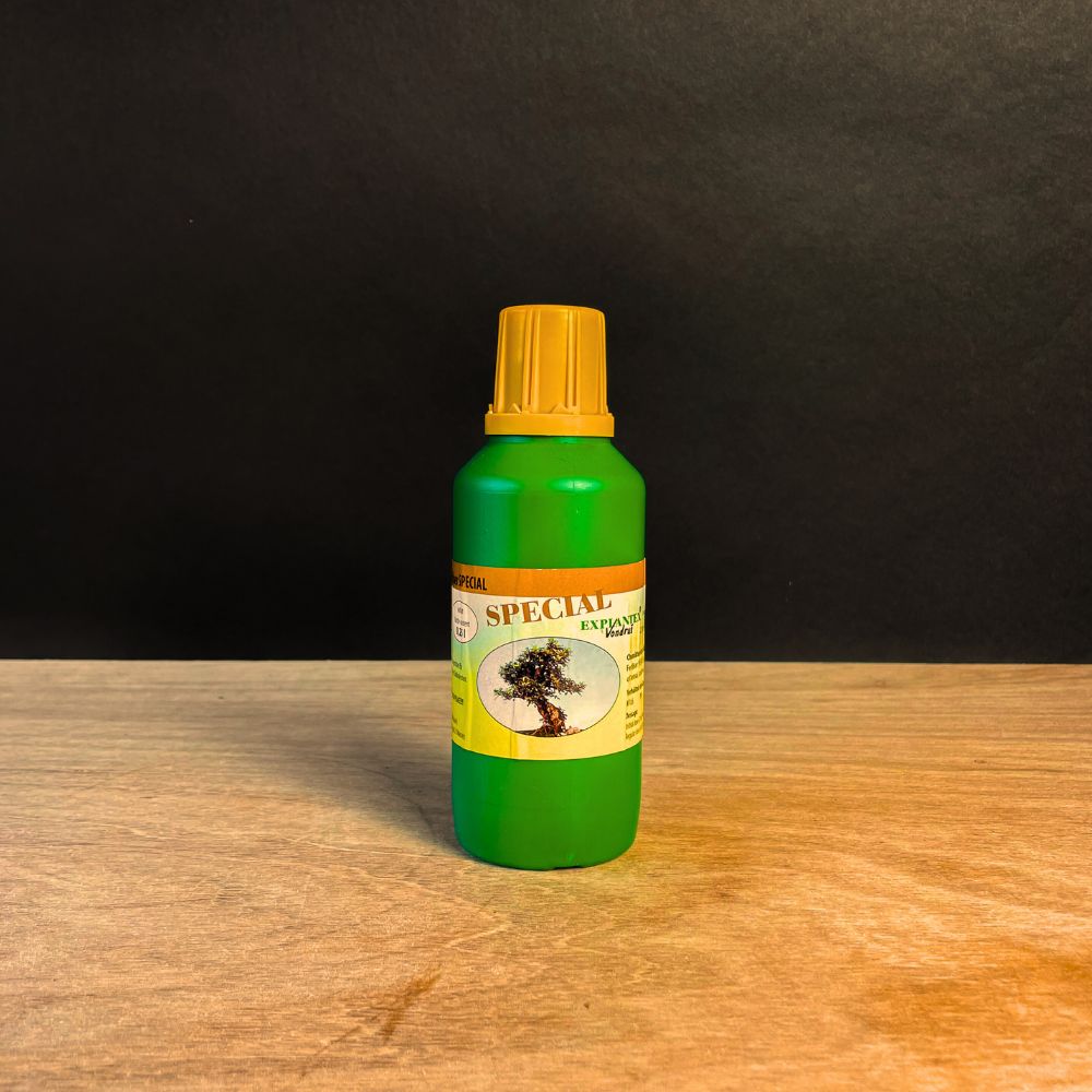 Kit de démarrage Ficus - essentiel