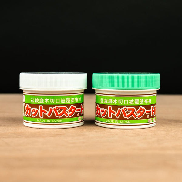 Pâte cicatrisante pour bonsaï (lot)