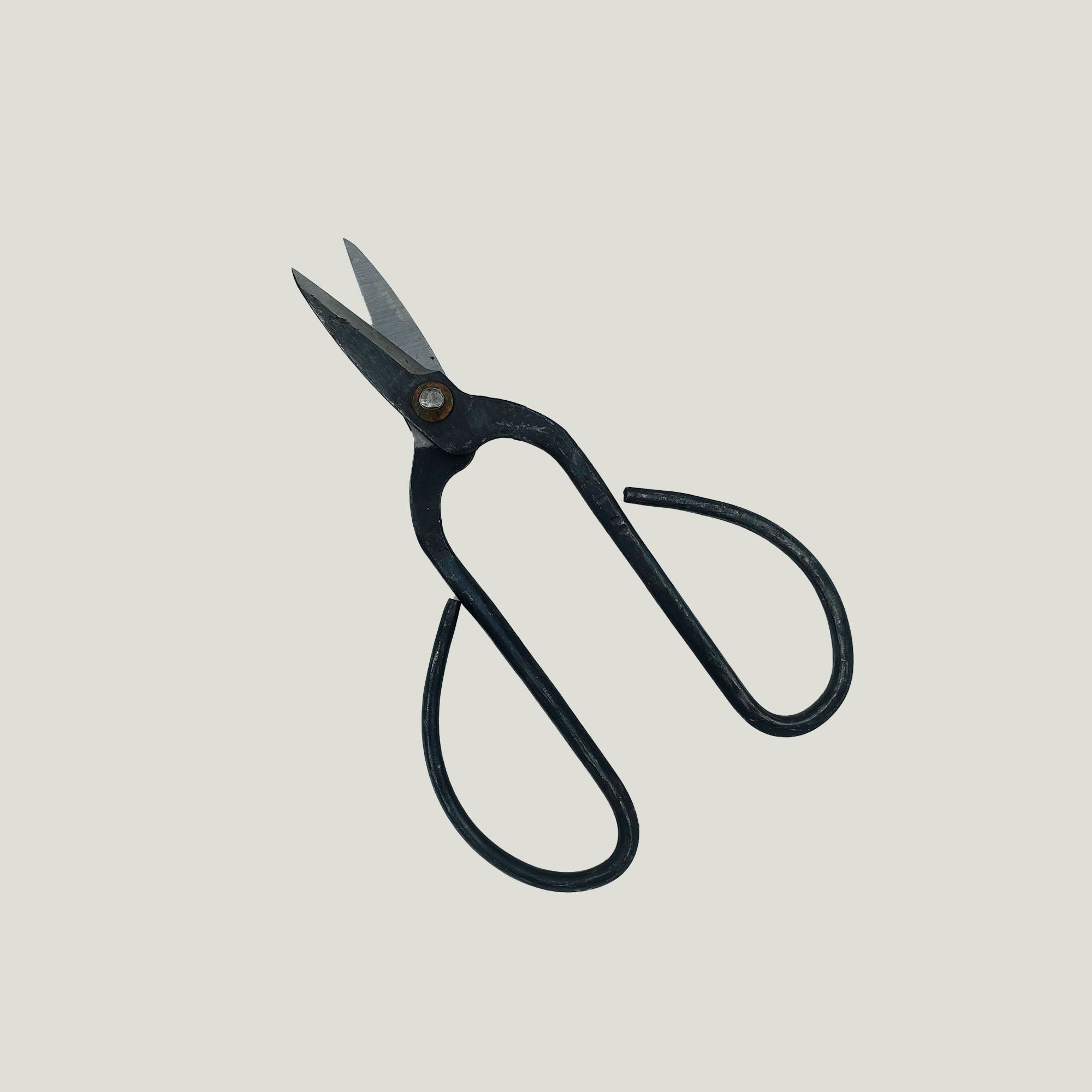 Grands ciseaux à bonsaï